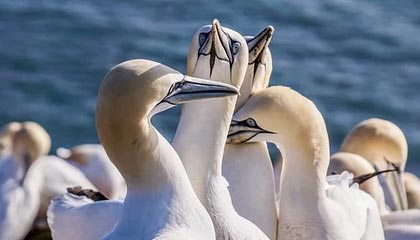 九游app下载中心-纷纷上演绝地反击，场外风云再次激荡，上演一场绝地反击