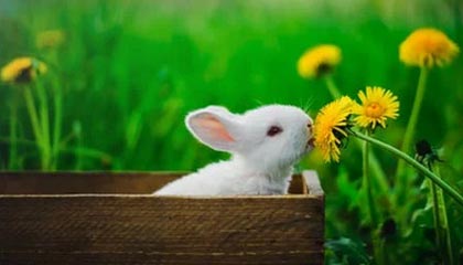 九游下载安装-中国女篮出征世界杯 全队斗志昂扬，中国女篮世界大赛